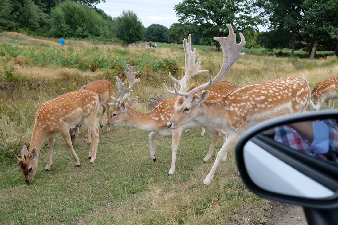 0A4D6D20-EB11-4BF6-9F66-EF0AFA93F6CA