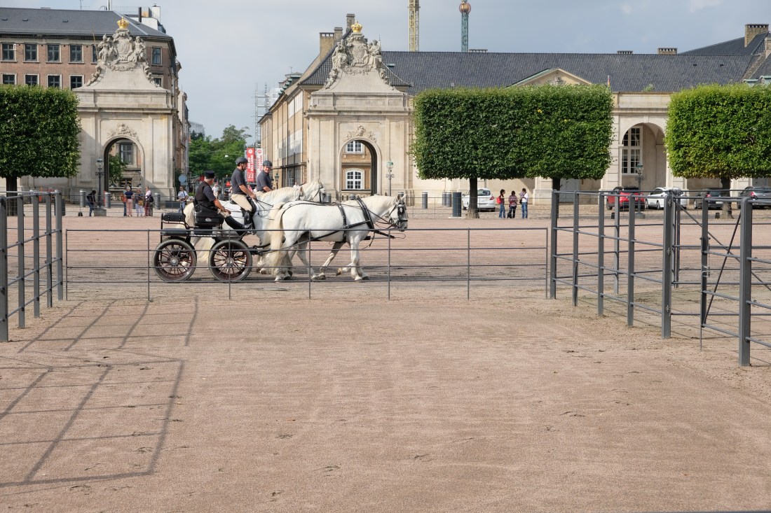 36DA7A78-22EF-4302-8748-86C1A1EA697E