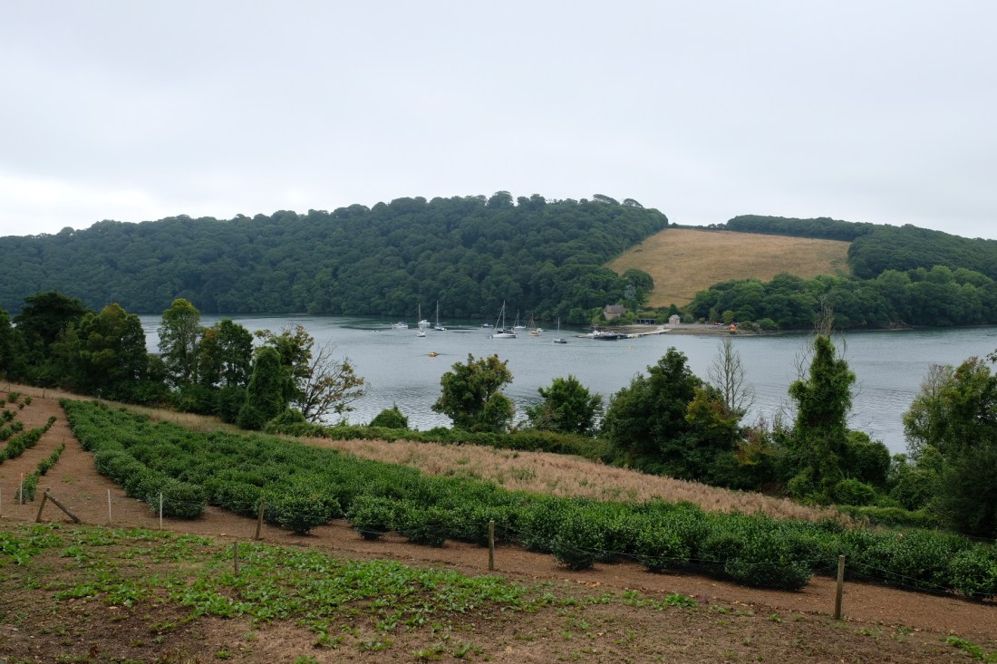 3A3B4373-DB95-43F6-B528-3664BDE3F315