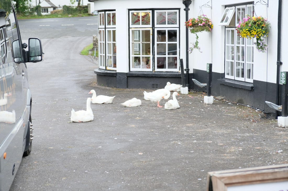 58F25258-DDE6-4355-A454-E381FFF4F511