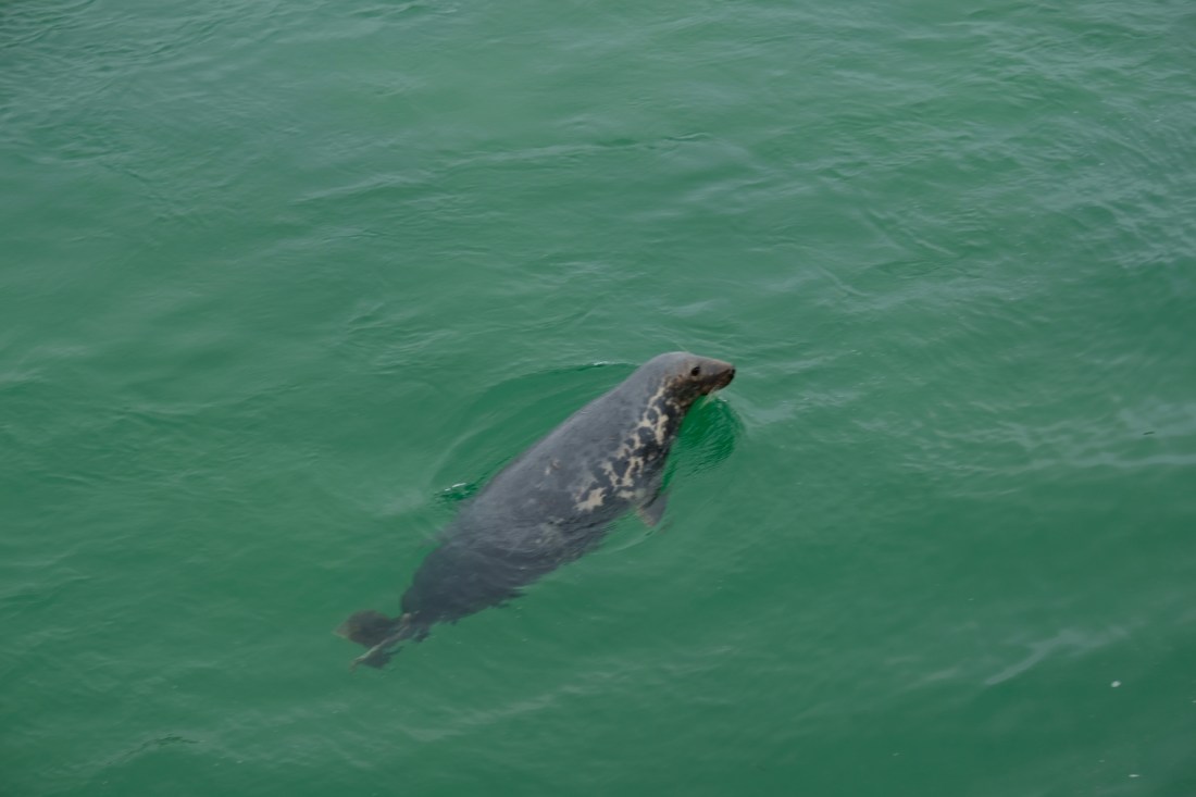 639CA910-C10D-4FA4-B3B0-D4D733B1909C