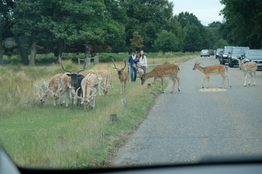 68EEEE2A-8181-4E15-8496-553A83B16BA4