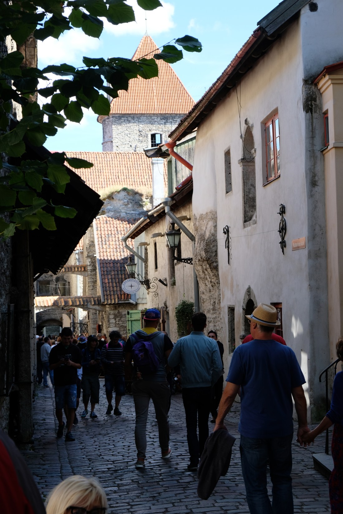 72EFC044-8A74-484A-9BB2-C5F23F09F4CA