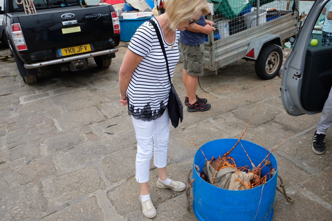 887EA1C7-B9A0-4F55-BF4E-1CDFDE1E4DA8