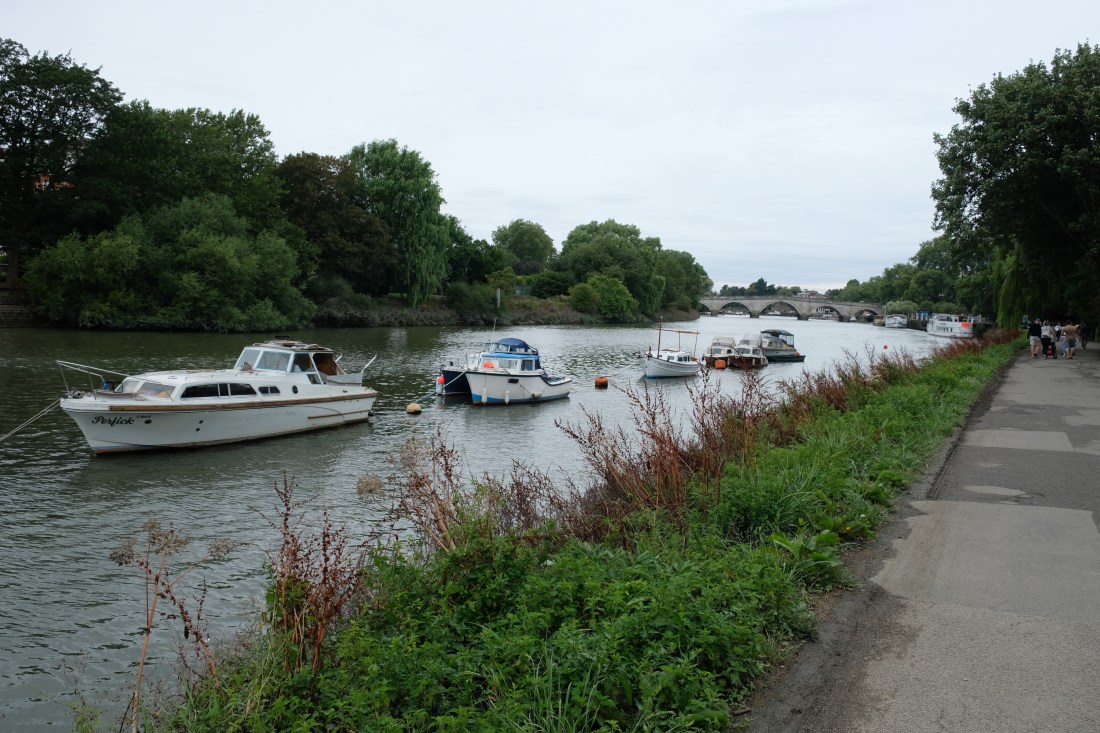 A3F4D578-7198-403F-9DCF-85568AE3F42D