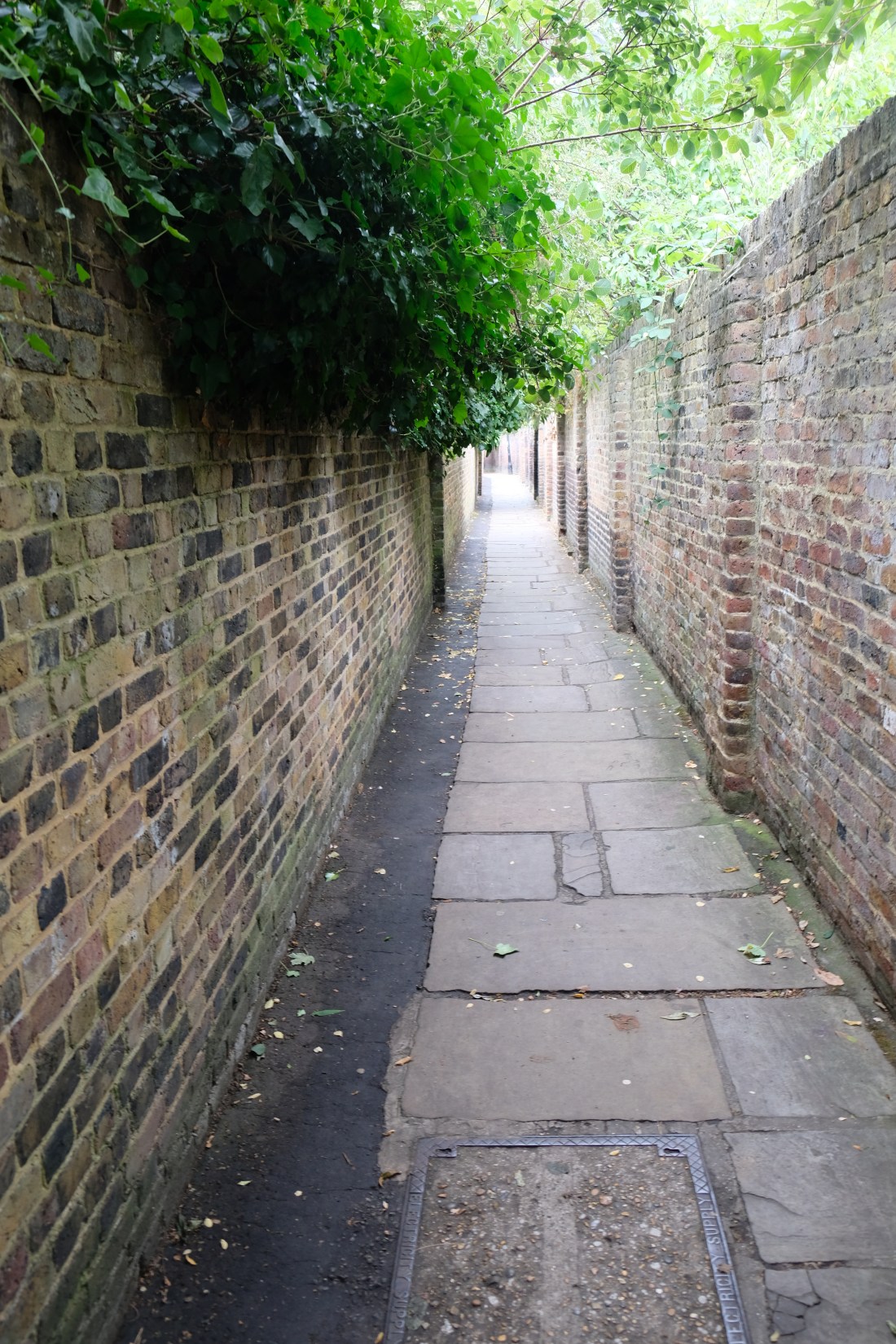 E7AC8B9B-8821-4A69-A166-2F8A602E5EA9